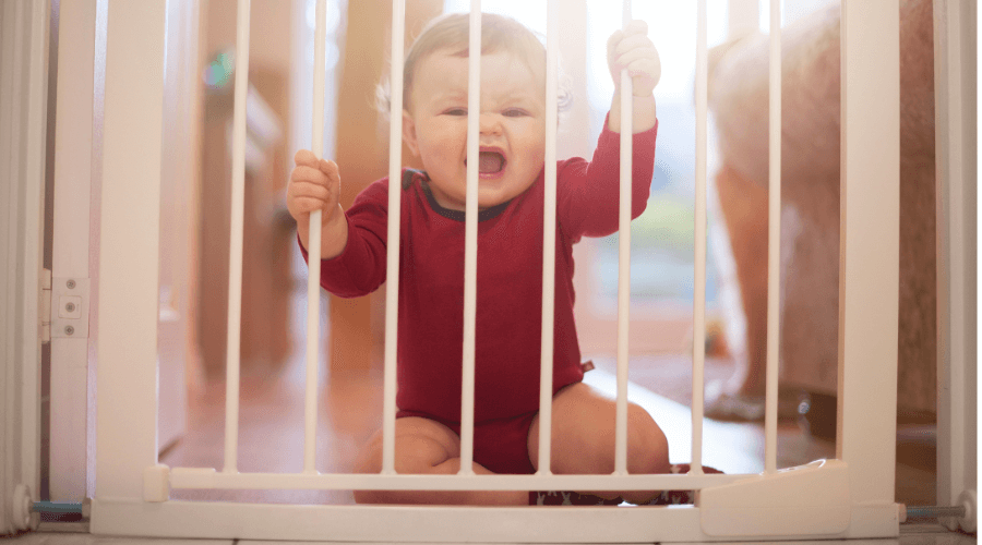 which baby gate baby gate guide