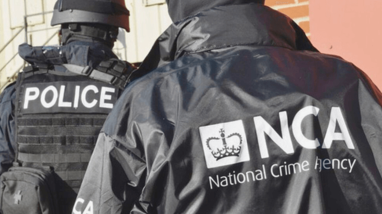 what do the national crime squad do?